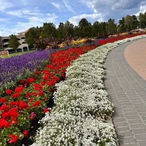 Meet your Posher, Ron